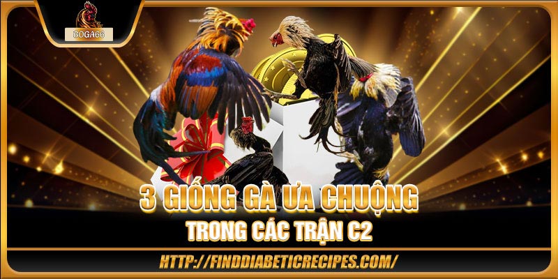 3 giống gà ưa chuộng trong các trận C2