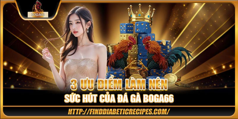 3 ưu điểm làm nên sức hút của đá gà BOGA66