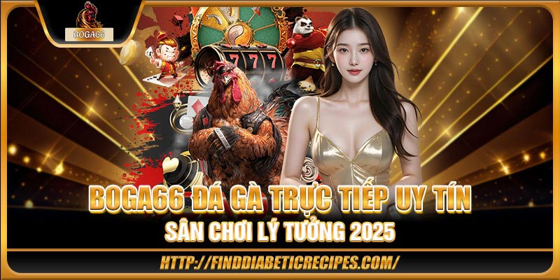 BOGA66 đá gà trực tiếp uy tín