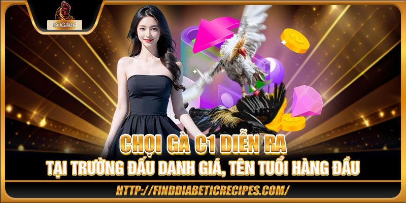 Chọi gà C1 diễn ra tại trường đấu danh giá, tên tuổi hàng đầu
