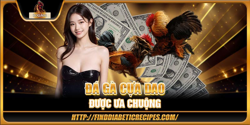 đá gà cựa dao