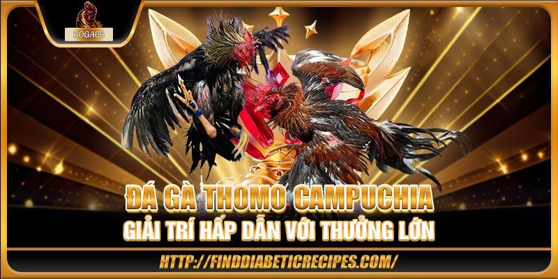 Đá gà Thomo Campuchia