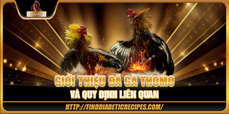 Giới thiệu tổng quan bộ môn đá gà Thomo