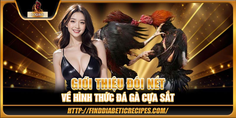 Tìm hiểu sơ về bộ môn đá gà cựa sắt
