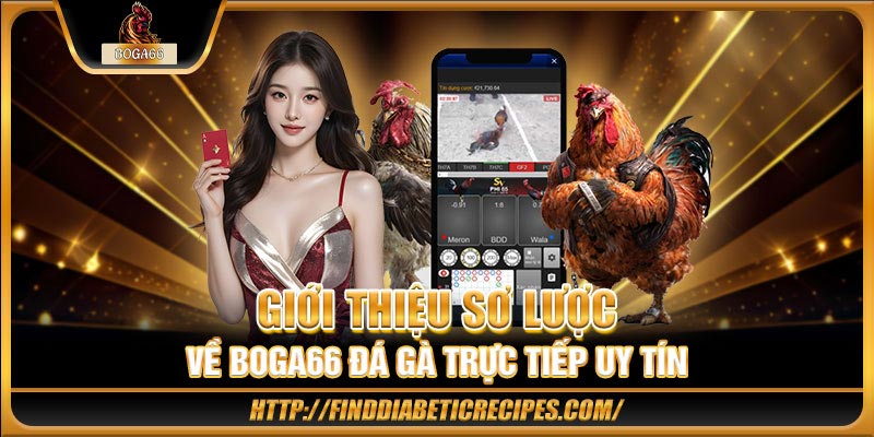 Giới thiệu sơ lược về BOGA66 đá gà trực tiếp uy tín