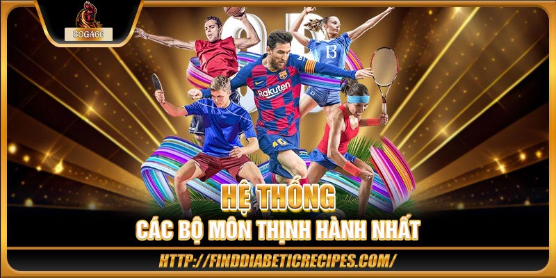 Hệ thống các bộ môn thịnh hành nhất