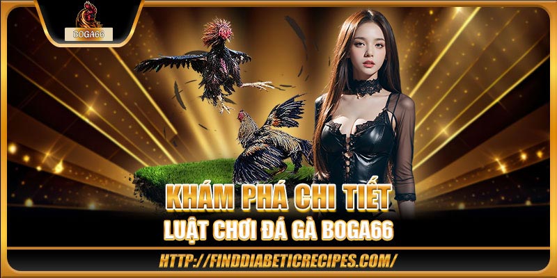 Khám phá chi tiết luật chơi đá gà BOGA66