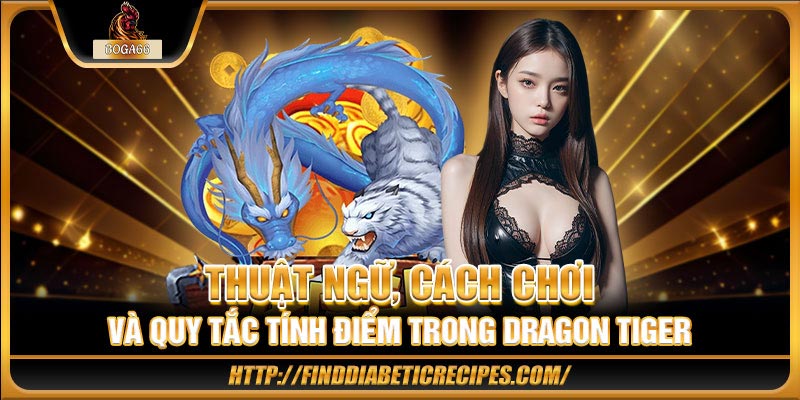 Thuật ngữ, cách chơi và quy tắc tính điểm trong Dragon Tiger