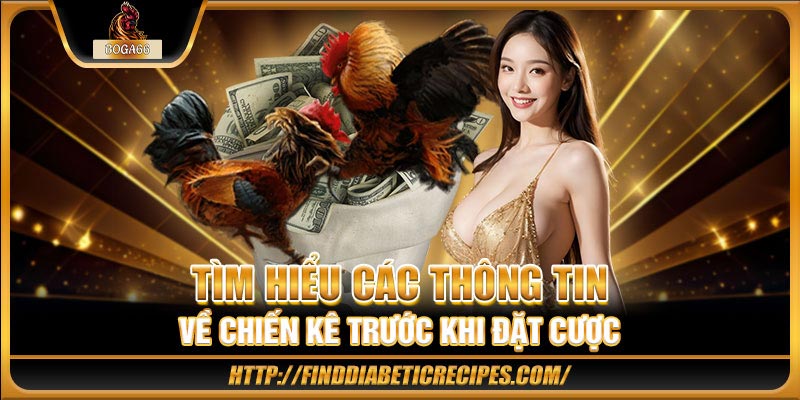 Tìm hiểu các thông tin về chiến kê trước khi đặt cược