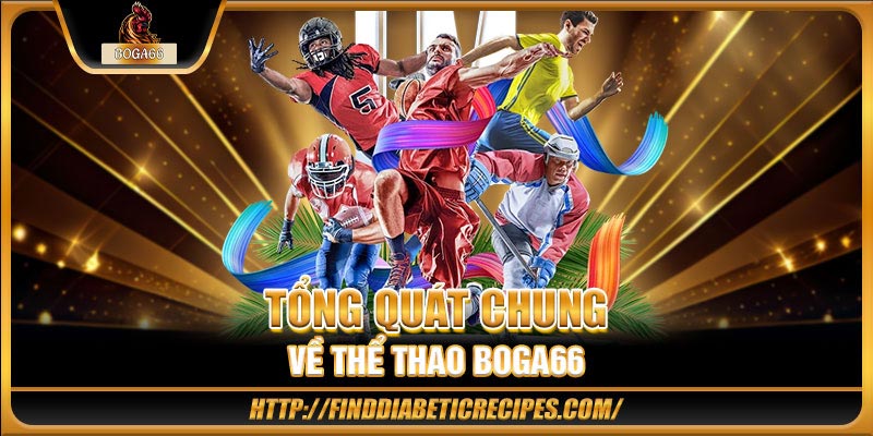 Tổng quát chung về thể thao BOGA66